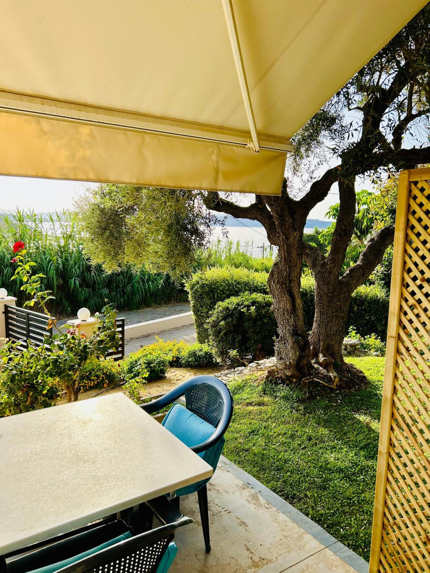Terpsichori Villa And Apartments Kalamaki Extérieur photo